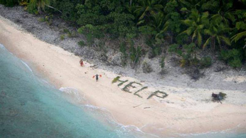 Gracias a las hojas de las palmeras fueron rescatados. Foto: AFP