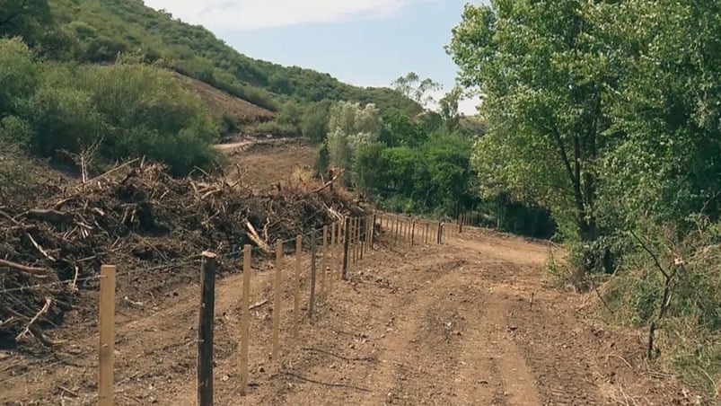 Gran parte del trazado pasará por áreas de bosque nativo de categoría roja.