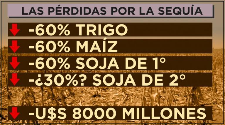 Grave impacto de la sequía en el campo: cuáles serían las pérdidas