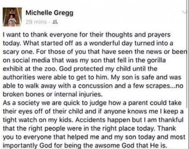 Habló la madre del nene que se cayó a la fosa del gorila