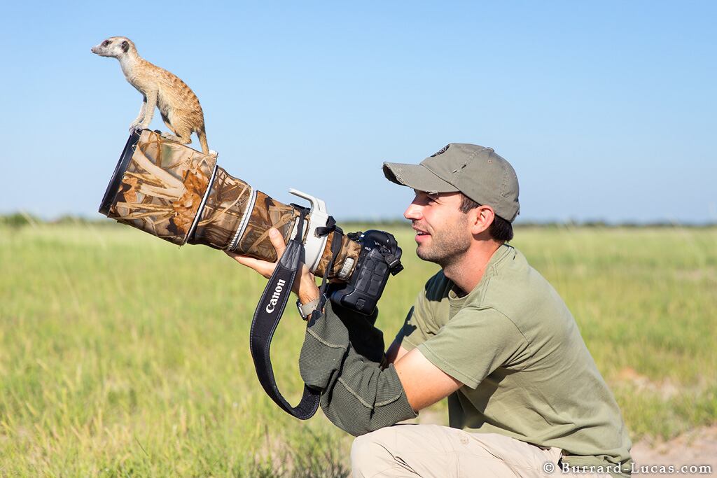 Hace 100 años se tomó la última fotografía de un leopardo negro.