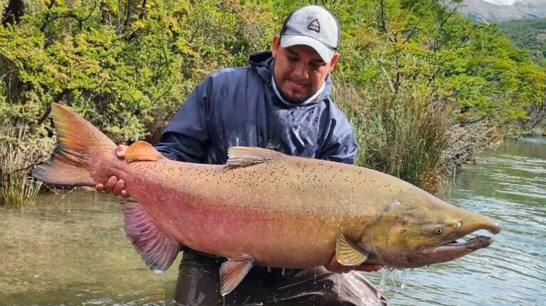 Hace 20 años que se encuentran peces de este tipo en el río Las Vueltas.