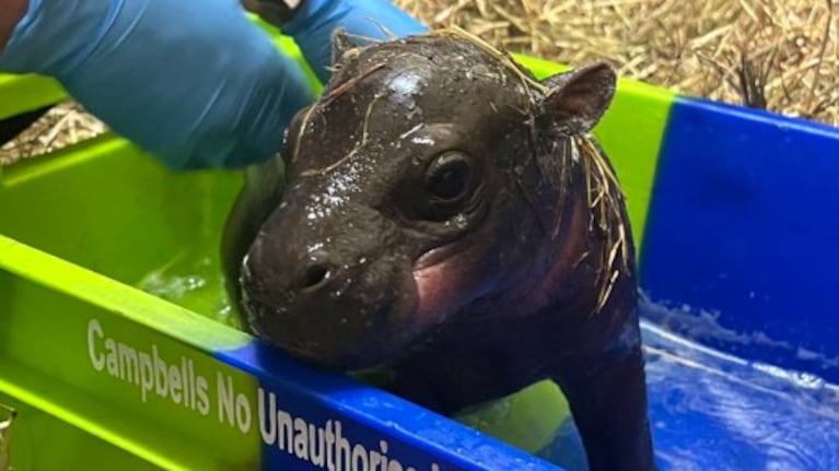 Haggis revolucionó el zoológico de Edimburgo.