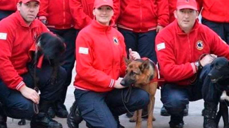 Halcón el perro que encontró el cuerpo de Araceli.