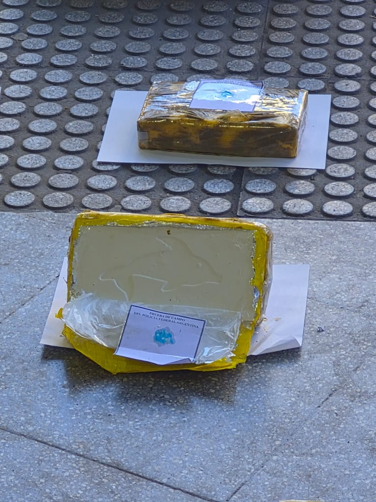 Hallaron 20 ladrillos de cocaína en la Terminal de Córdoba: tenían el sello del “Patrón del Norte”