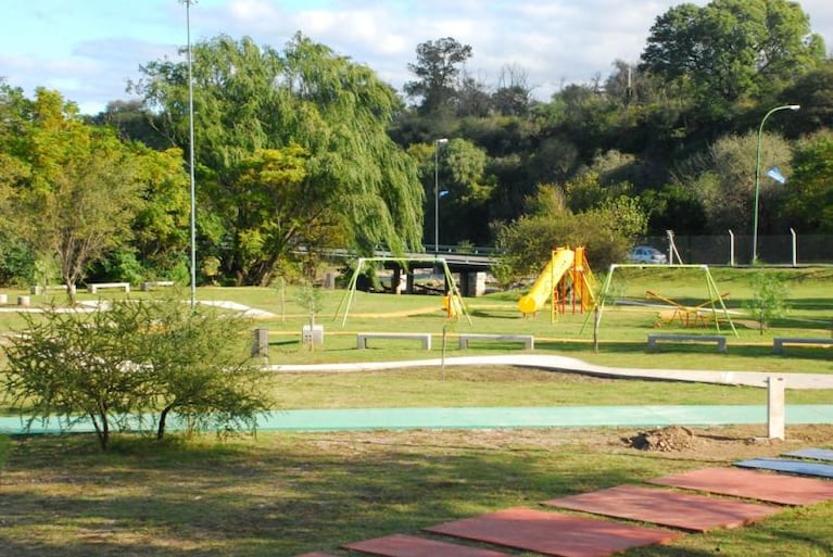 Hallaron  a un lechuzón orejudo en el parque Kempes