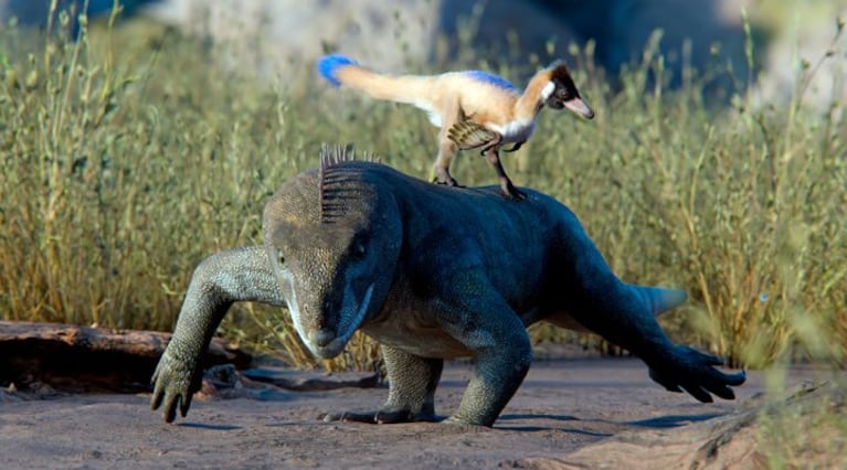 Hallaron en la Patagonia el fósil de un dinosaurio del tamaño de una gallina: por qué es clave
