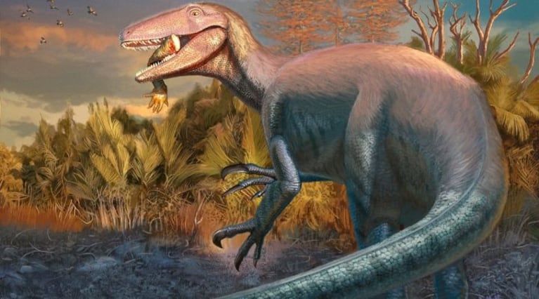 Hallaron un dinosaurio de gran tamaño en la Argentina. (Imagen: Conicet).
