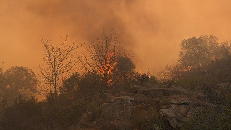 Hay alerta por incendios en toda la provincia de Córdoba. Foto: Lucio Casalla / El Doce.