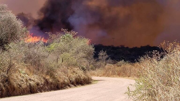 Hay alerta por intensos vientos en Córdoba.