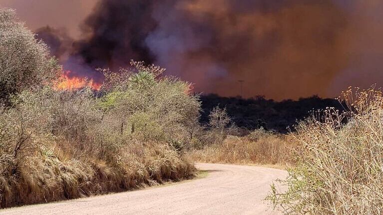Hay alerta por intensos vientos en Córdoba.