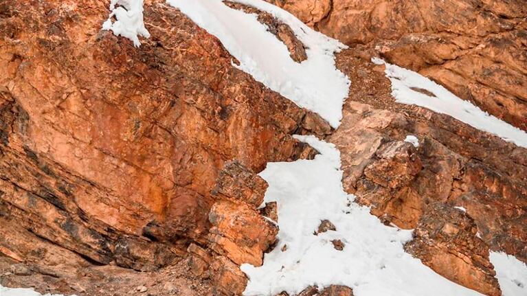 Hay un leopardo camuflado entre las rocas.