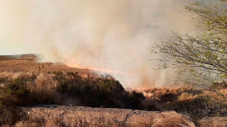 Hay varios focos activos y crece la preocupación: el riesgo de incendios es extremo.