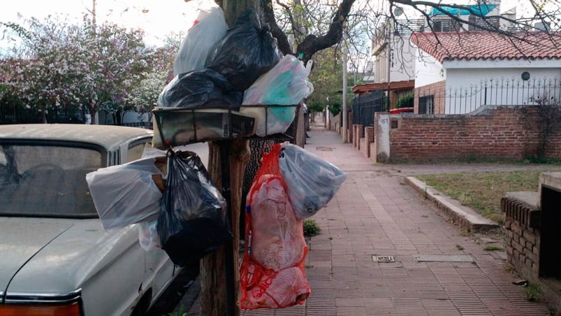 Hay zonas de la ciudad que hace 4 días no tienen recolección de residuos.