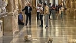 Hecho de violencia en el Museo del Vaticano: un turista destrozó dos estatuas