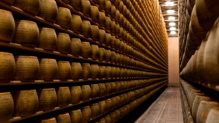Hormas de queso mataron a un productor italiano. 