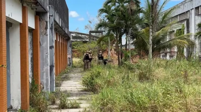 Horror en Brasil: un padre mató a su hijo.