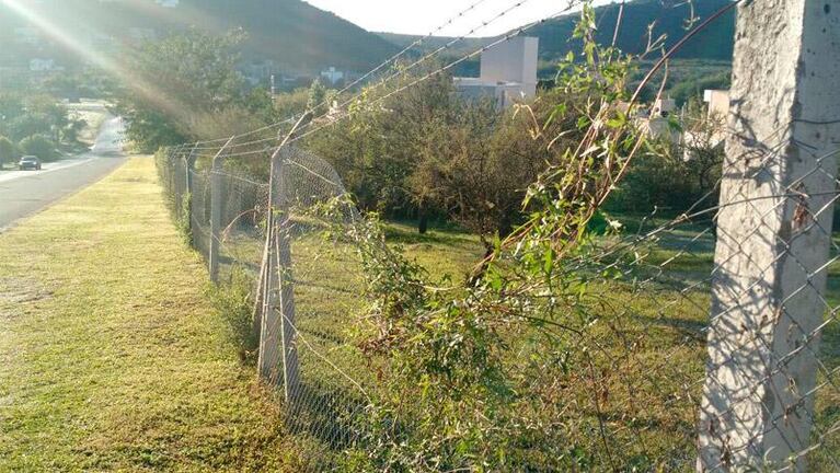 Horror en La Calera: mató a su ex mujer e hirió a otro hombre