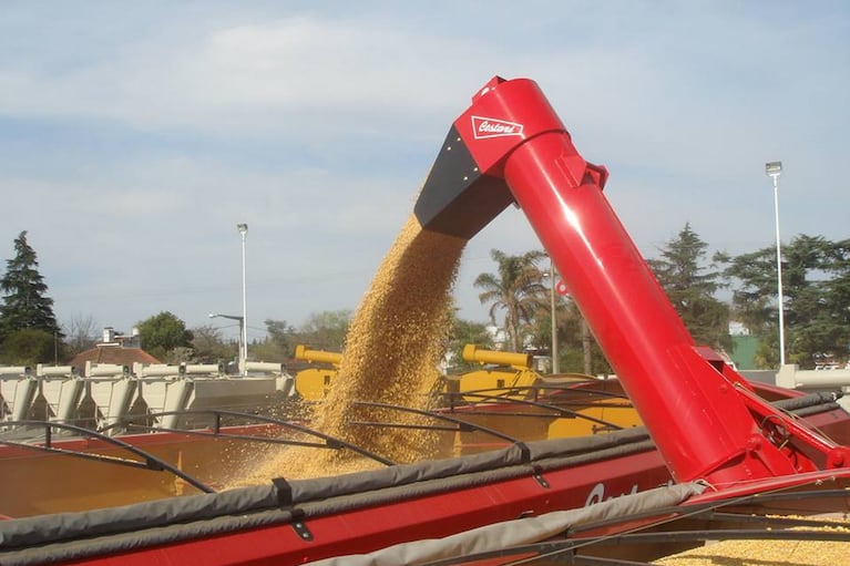 Horror: un nene de 9 años cayó dentro de un silo, la descargaron y murió asfixiado