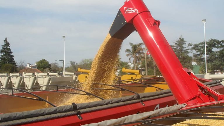 Horror: un nene de 9 años cayó dentro de un silo, la descargaron y murió asfixiado