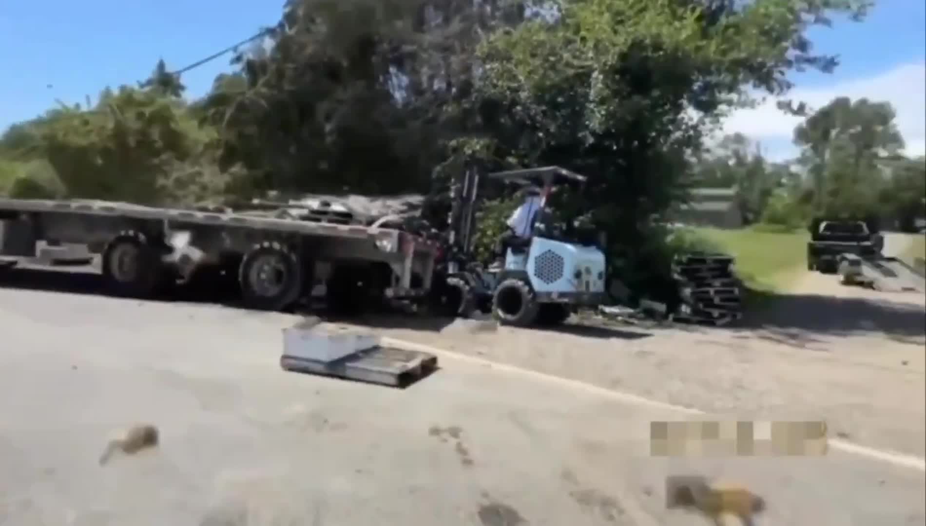 Un camión con abejas volcó y  causó pánico