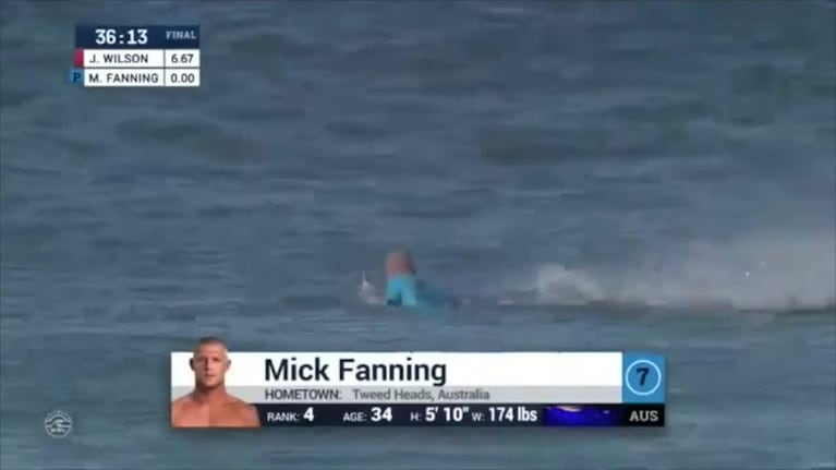 Tiburón atacó a surfista en plena competencia