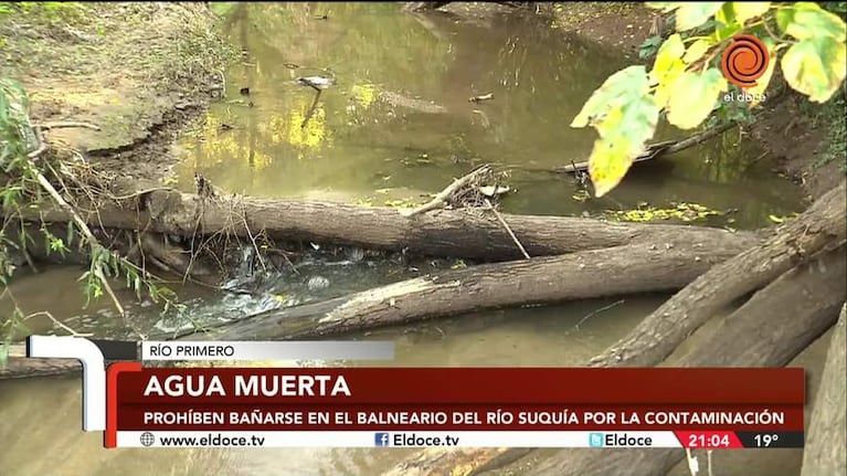 Prohibido bañarse: la terrible contaminación fecal en Río Primero