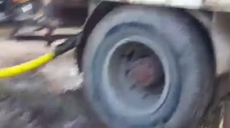 Un camión municipal llenó la pileta de un funcionario