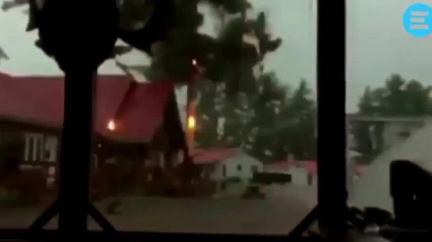 Un rayo destruyó un árbol enorme