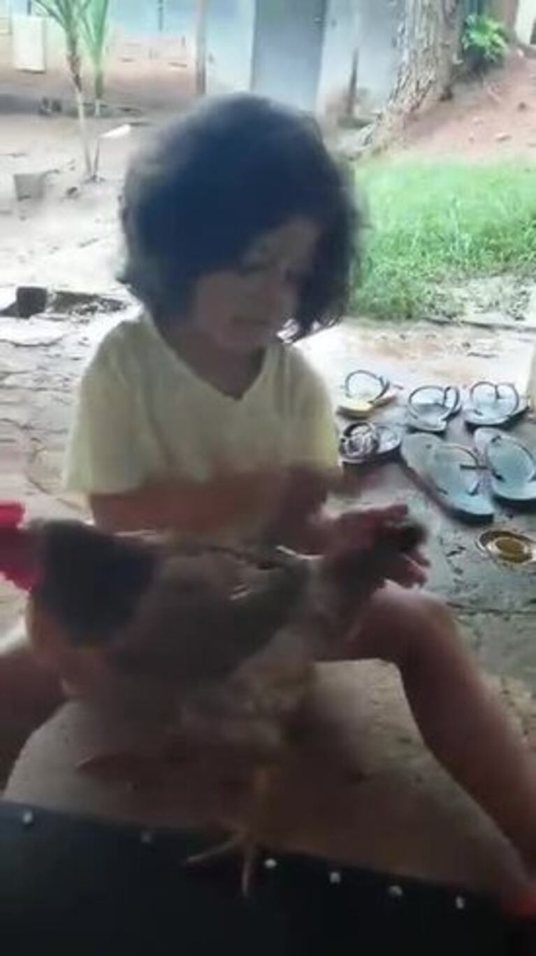 La amistad viral de una nena y una gallina