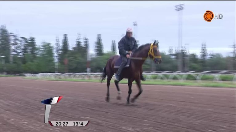 Carreras de caballos en el ojo de la tormenta