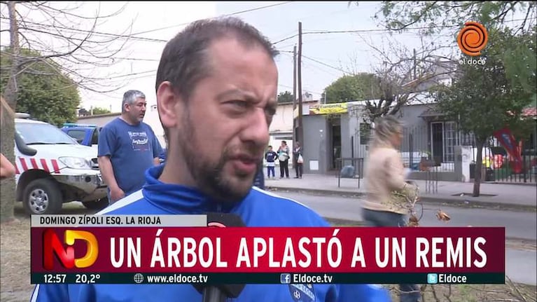 Un árbol cayó arriba de un remis