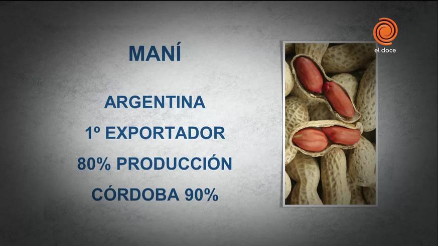 Los beneficios de consumir maní