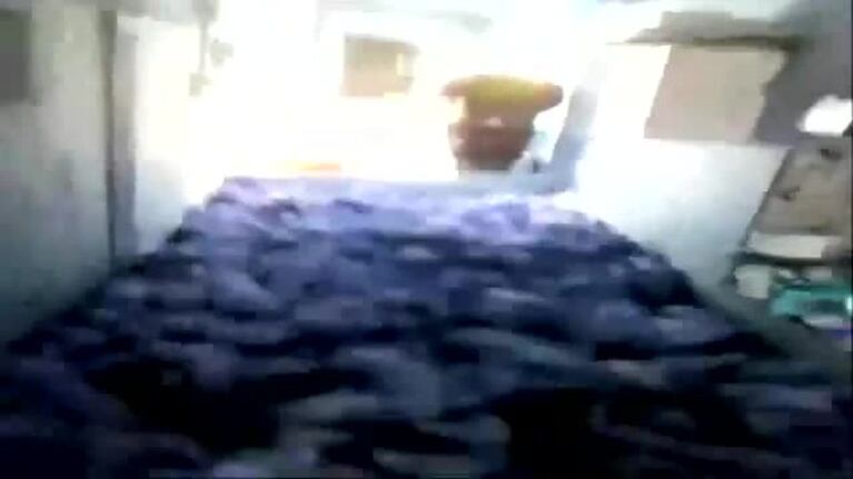 Aplastaron a 72 lechones por diversión