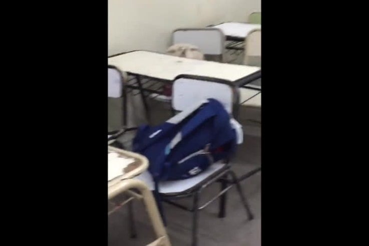 Encontraron ratas en el aula de un colegio de barrio Alberdi