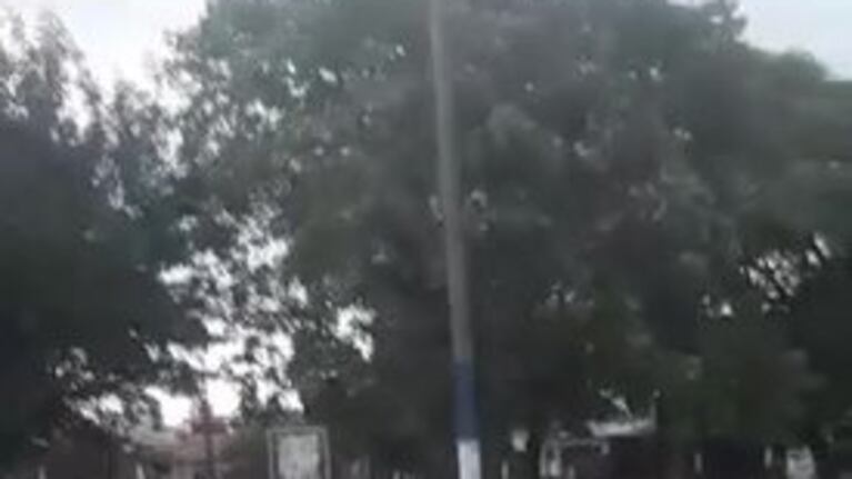 Temor por una hamaca que se mueve sola