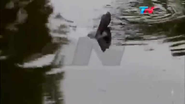El monstruo de los lagos de Palermo