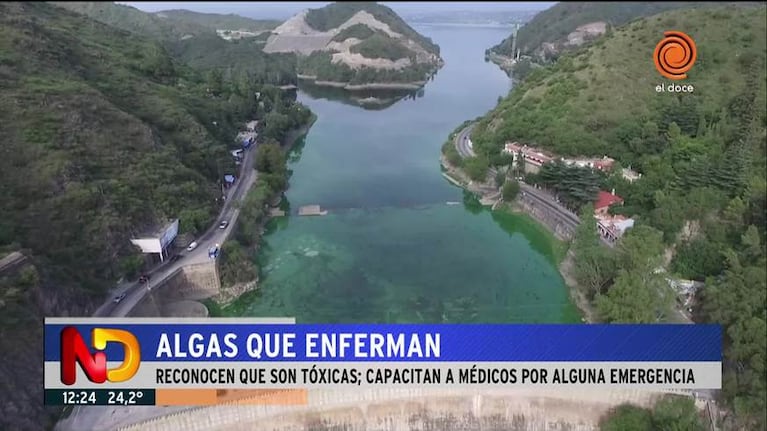 Algas tóxicas en el lago San Roque