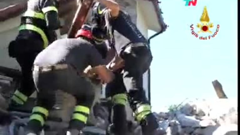 Milagro en Italia: rescataron a un perro