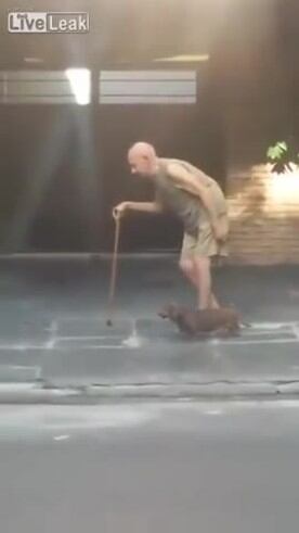 El perro que camina lento como su dueño anciano