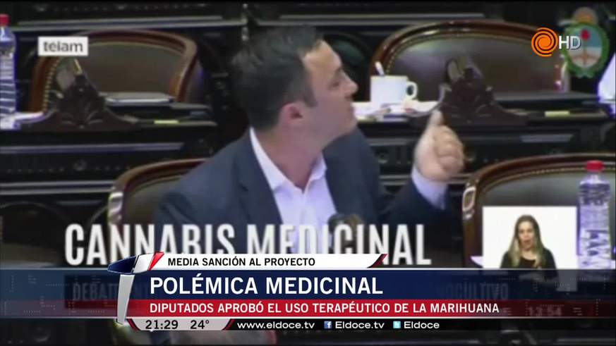 Cannabis medicinal: Diputados dio media sanción