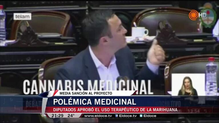 Cannabis medicinal: Diputados dio media sanción