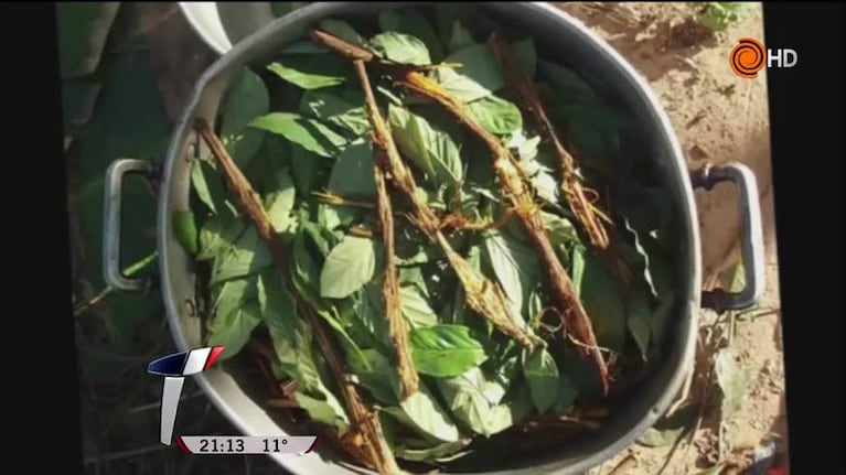 Para un curandero, la ayahuasca no es una droga