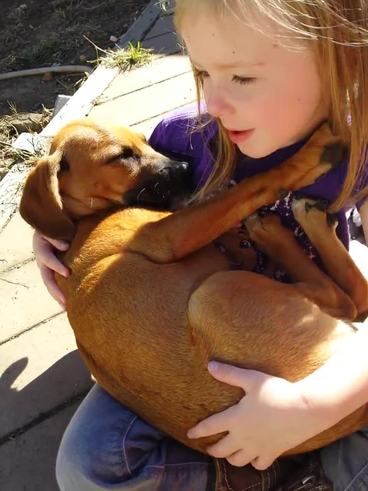 El mágico momento en que un perro adoptado es acunado