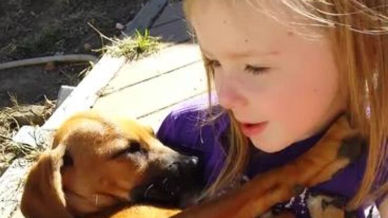 El mágico momento en que un perro adoptado es acunado