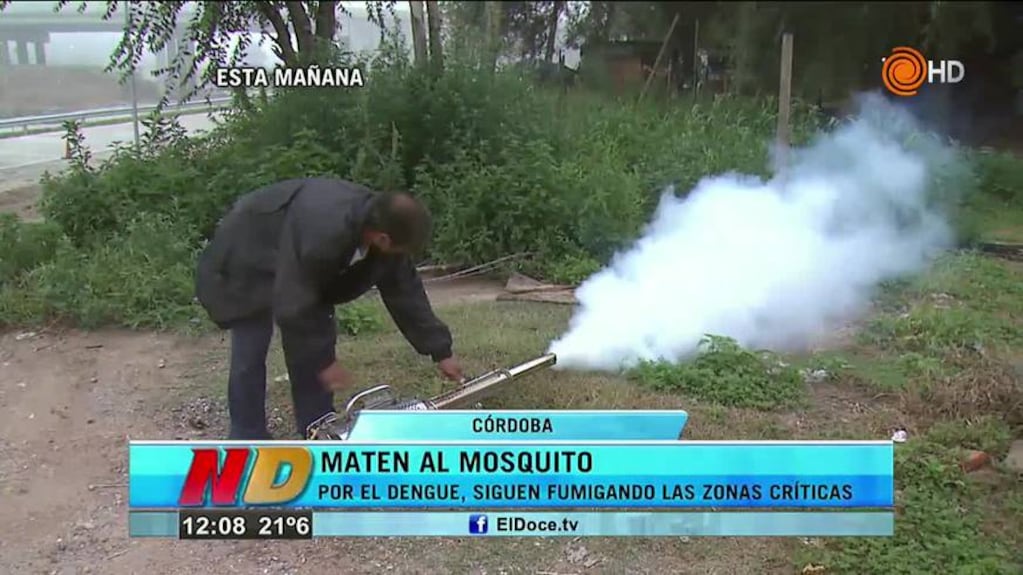 Fumigaciones contra el mosquito del dengue