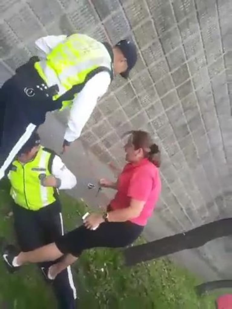 Una mujer golpeó a los inspectores que la multaron 
