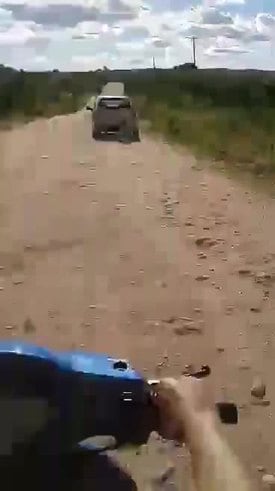 El video del perro arrastado por un auto