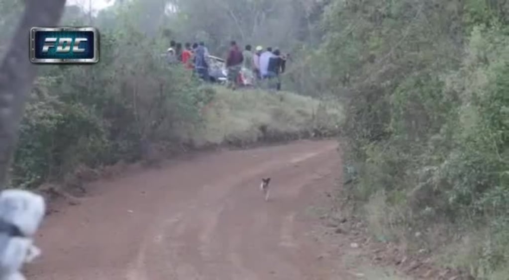  Rally en Bolivia: un auto le pasó por arriba a un perro   