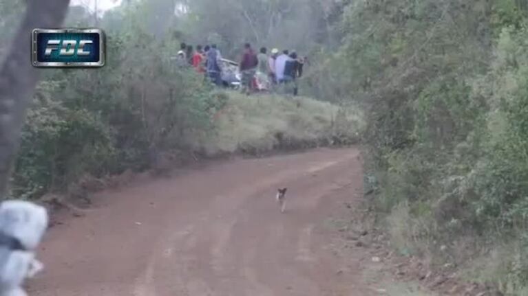 Rally en Bolivia: un auto le pasó por arriba a un perro